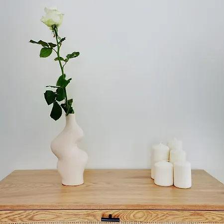 Apartment Bellesfeuilles - Terrasse Paris